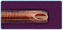 High Finned Tube