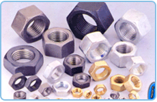 Hex Nut