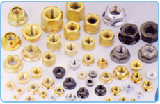 Flange Nut